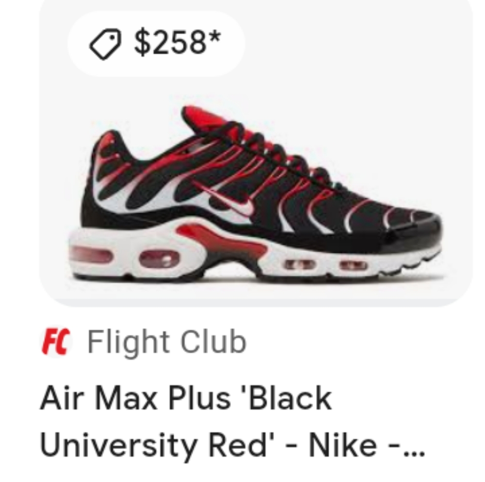 A Brand New pair never been worn Nike Air Max retail price $258